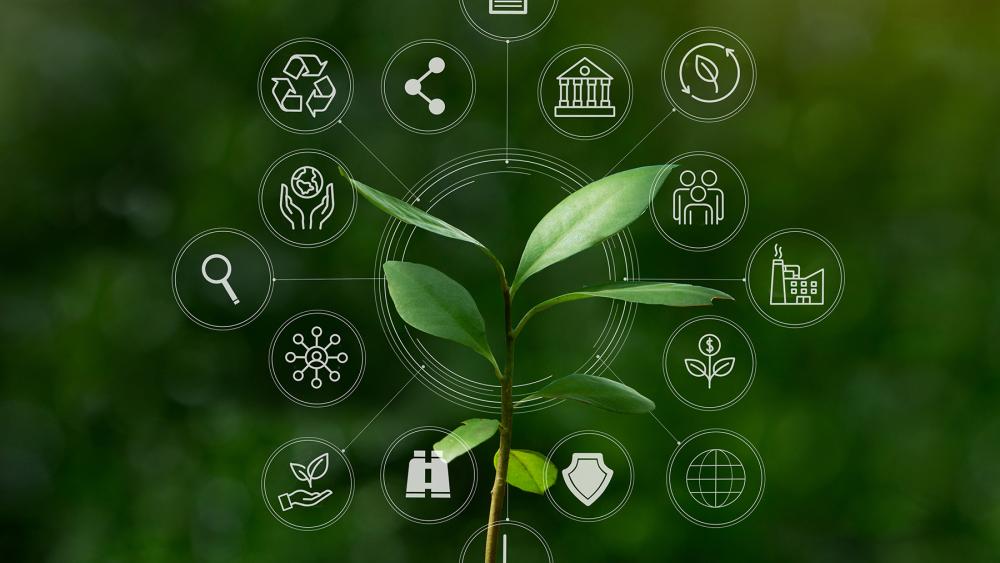 Penn State: 3 milioni NSF per formazione su materiali sostenibili e AI