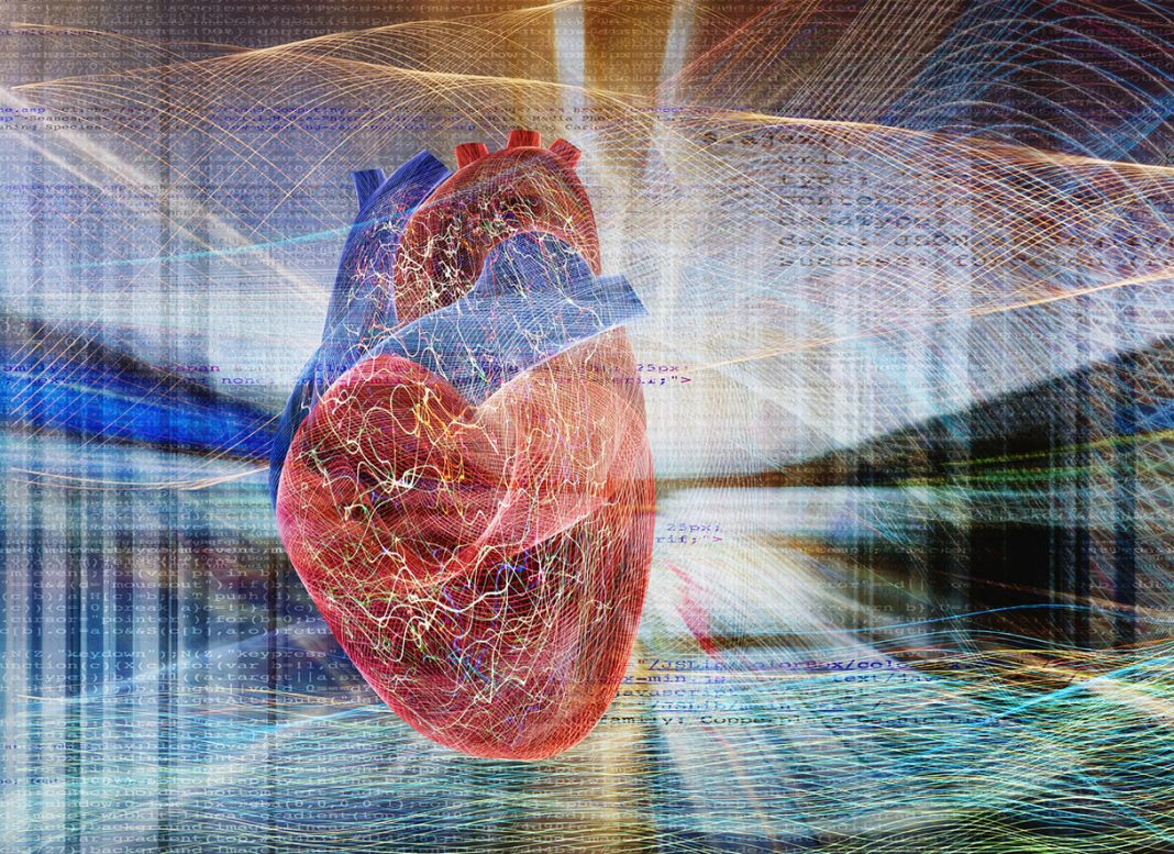 EchoPrime AI: il più grande modello AI per ecocardiogrammi
